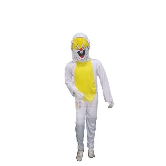 Rabbit  Costume For Kids Buy Online In Pakistan