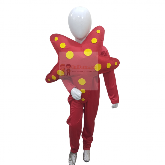 StarFish Costume For Kids Buy Online In Pakistan