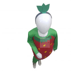 Strawberry Costume For Kids Fruits Costume Kids Buy Online In Pakistan
