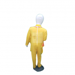 Sun Costume For Kids Buy Online In Pakistan