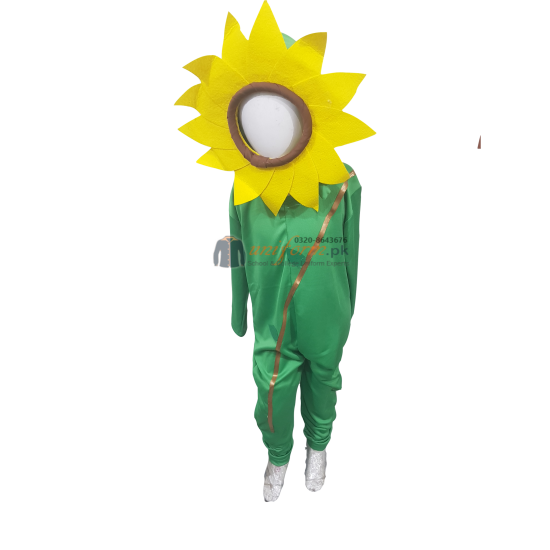 Sunflower Costume For Kids Buy Online In Pakistan