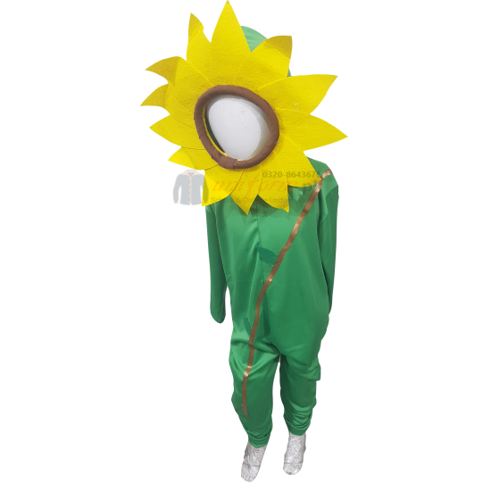 Sunflower Costume For Kids Buy Online In Pakistan