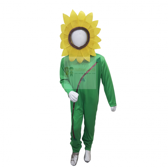 Sunflower Costume For Kids Buy Online In Pakistan