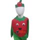 Tomato Costume For Kids Vegetable Costume Buy Online In Pakistan