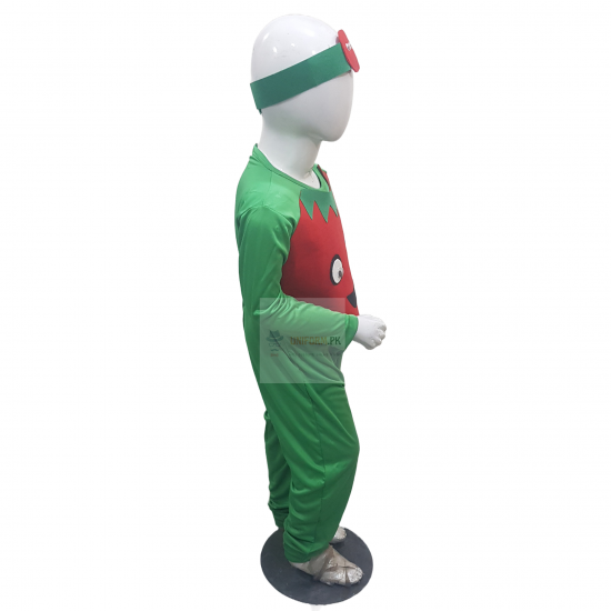 Tomato Costume For Kids Vegetables Kids Costume Buy Online In Pakistan