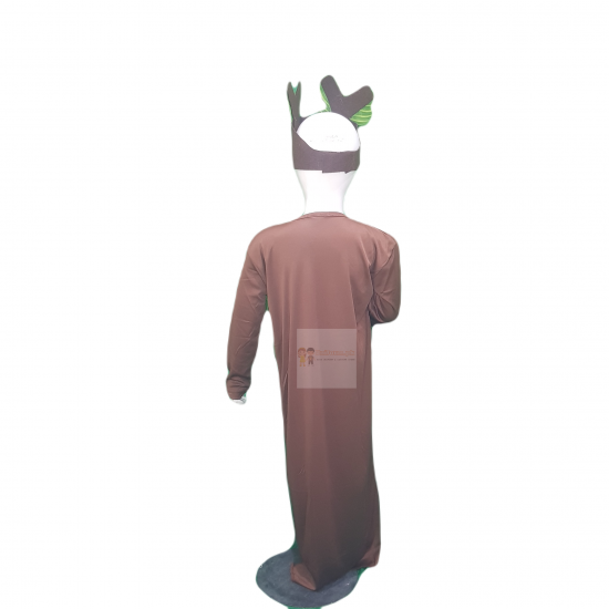 Tree Costume For Kids Buy Online In Pakistan