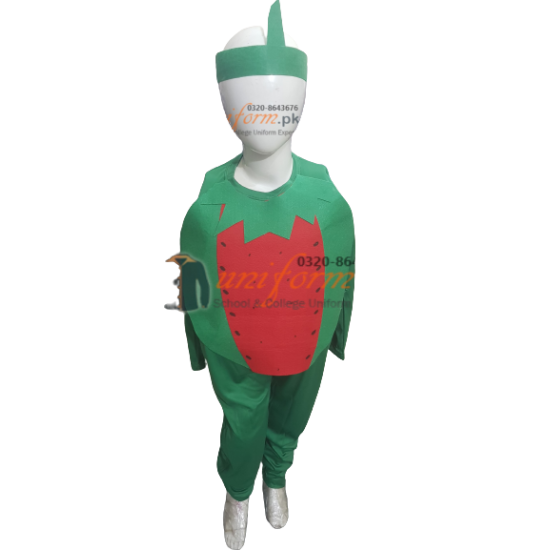Watermelon Costume For Kids Fruits Costume Kids Buy Online In Pakistan