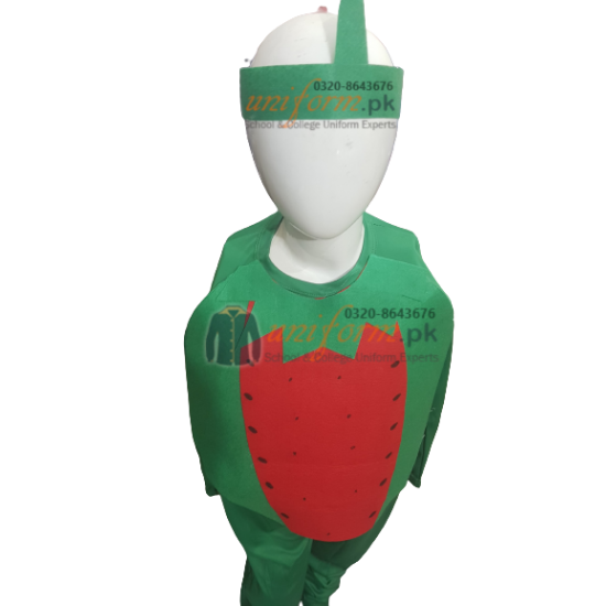 Watermelon Costume For Kids Fruits Costume Kids Buy Online In Pakistan