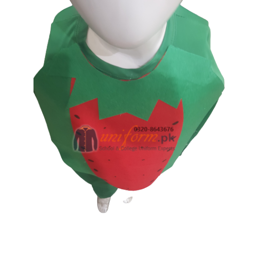 Watermelon Costume For Kids Fruits Costume Kids Buy Online In Pakistan