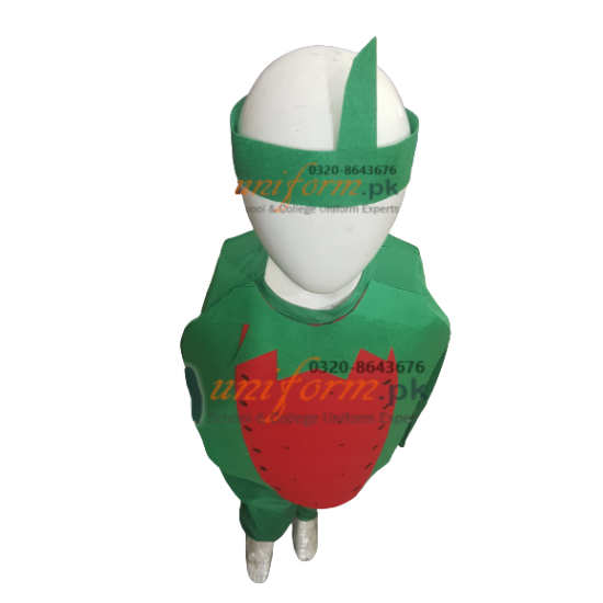 Watermelon Costume For Kids Fruits Costume Kids Buy Online In Pakistan