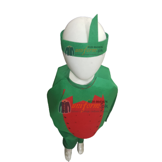Watermelon Costume For Kids Fruits Costume Kids Buy Online In Pakistan