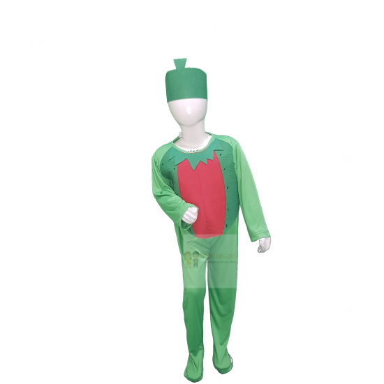 Watermelon Costume For Kids Fruits Costume Kids Buy Online In Pakistan