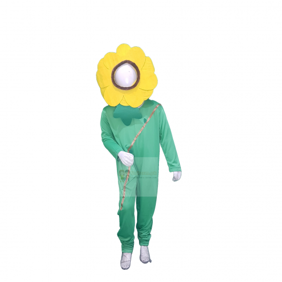 Yellow Rose Flower Costume For Kids Buy Online In Pakistan