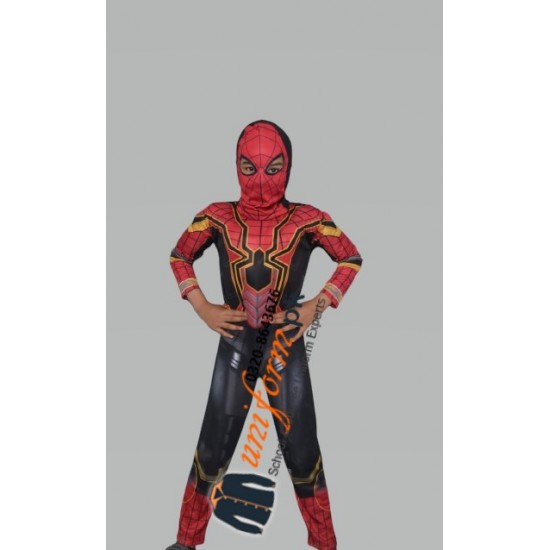 Spiderman Muscle Costume With Mask Buy Online In Pakistan