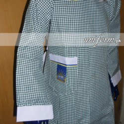 Dar e Arqam School Girls Shirt