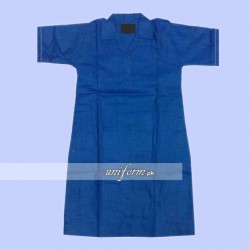 Girls half Sleeves Shirt for Educators School