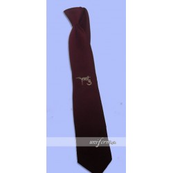 Roots School System Boys Tie